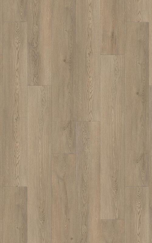 SPC ламинат Floorwood Дуб Веларус дымчатый 6241