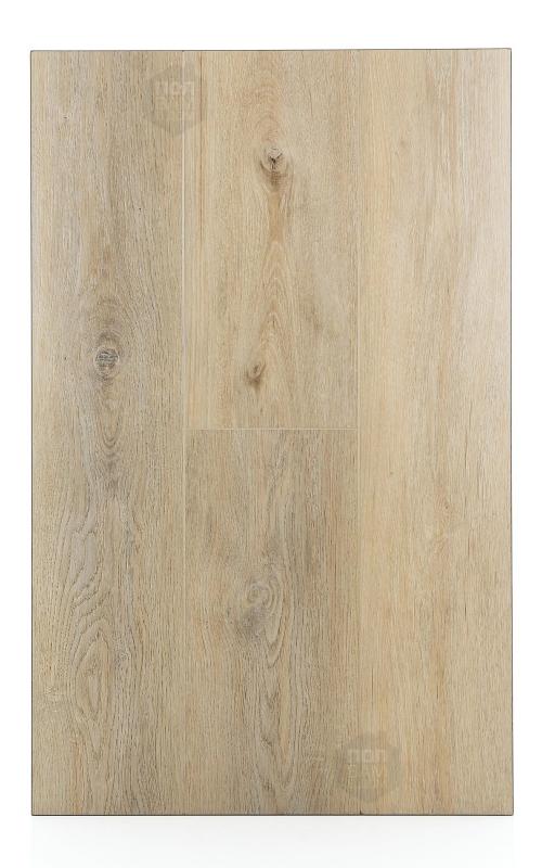 SPC ламинат FirstFloor Молочный дуб сканди 1F016